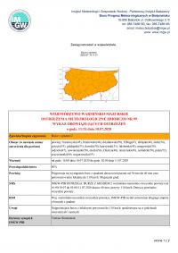 Ostrzeżenie meteorologiczne zbiorczo nr 99